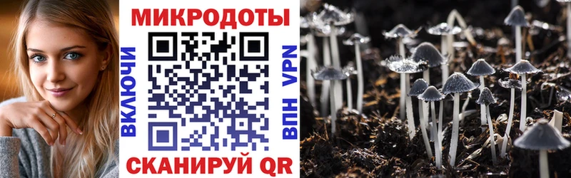 Псилоцибиновые грибы Psilocybe  Татарск 
